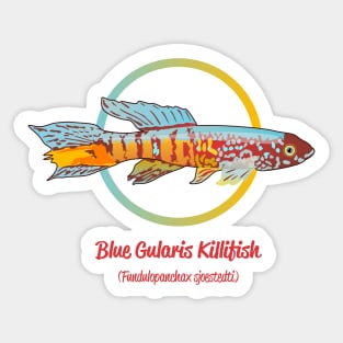 Blue Gularis Killifish Sticker